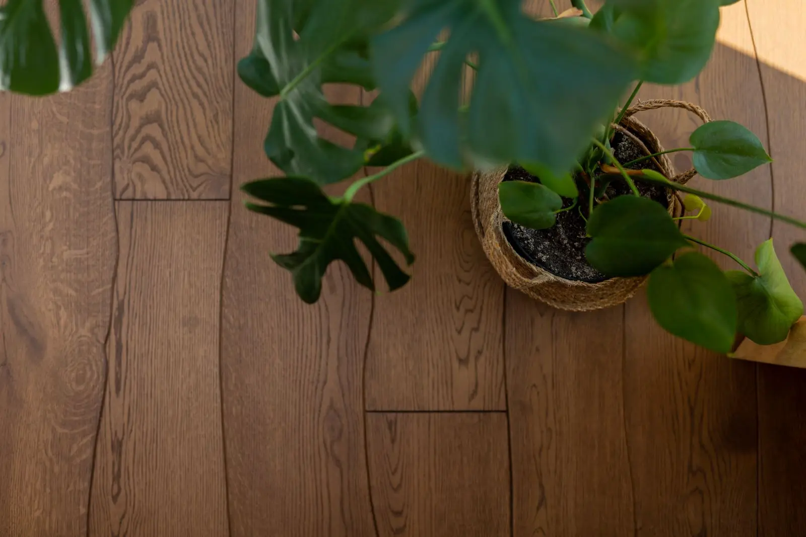 Design: Prodom - architektura i konstrukcja