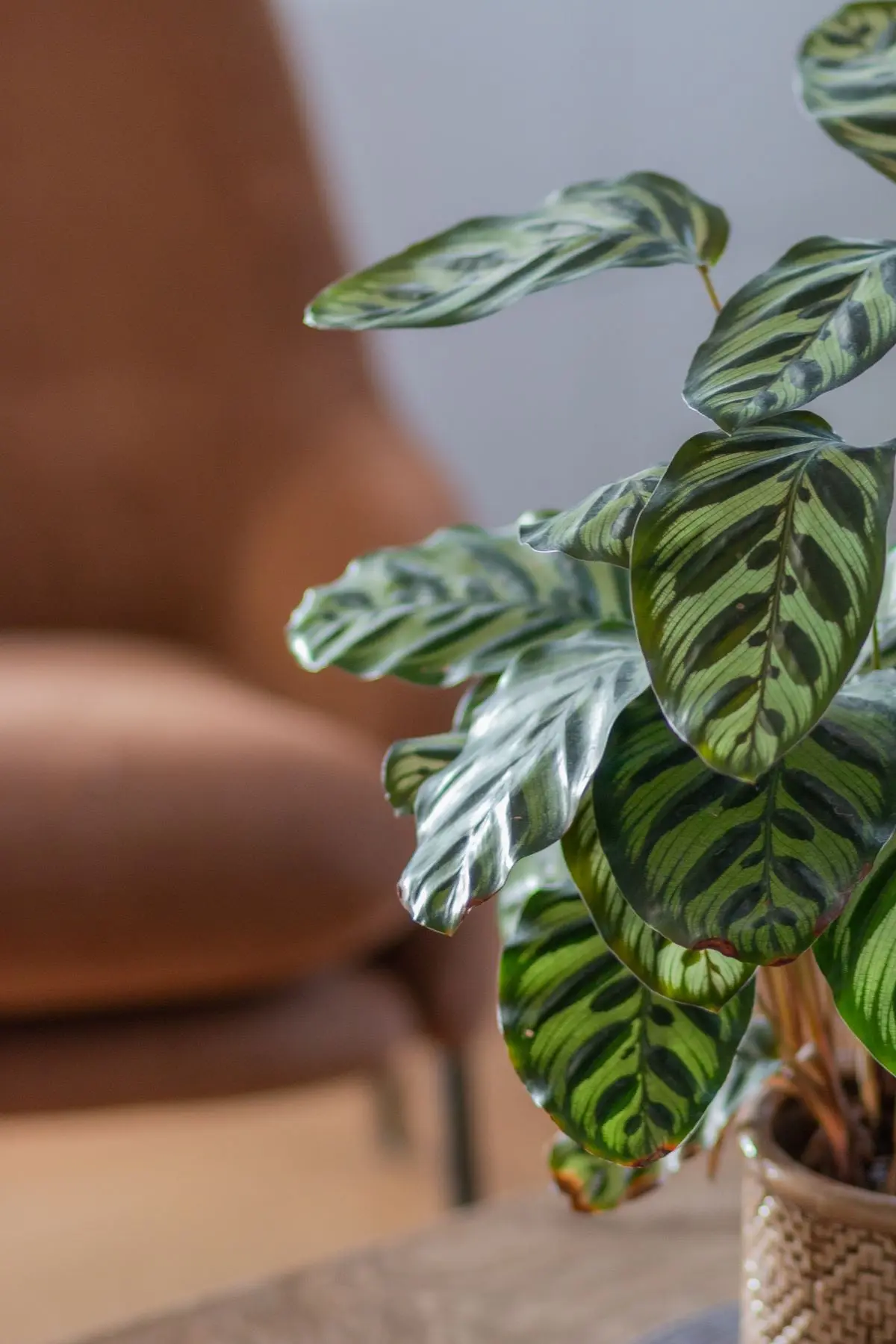 Design: Marta Zalewska | Foto: Małgorzata Krupińska