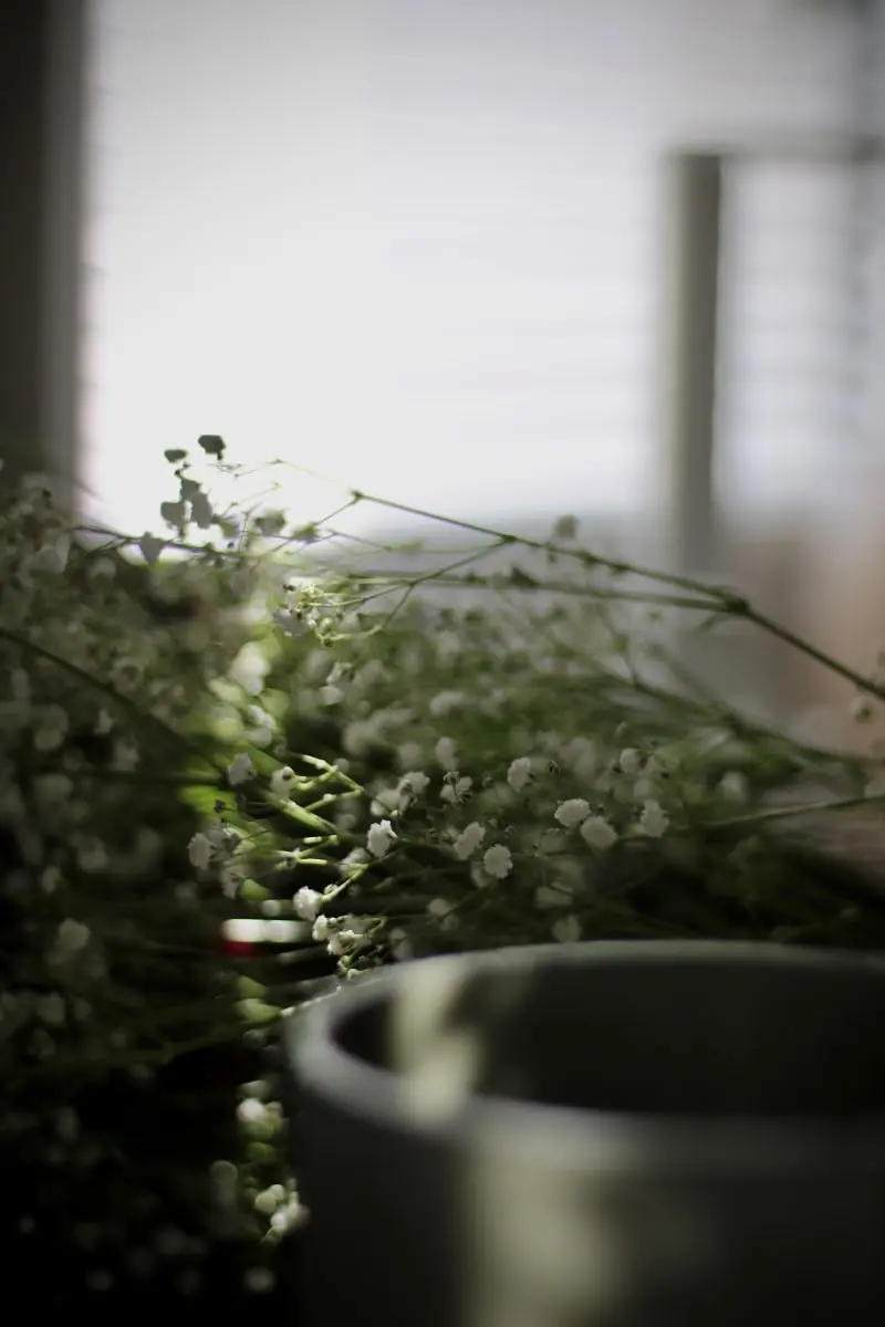 design: Studio Rysik | fot.: Lera Galich