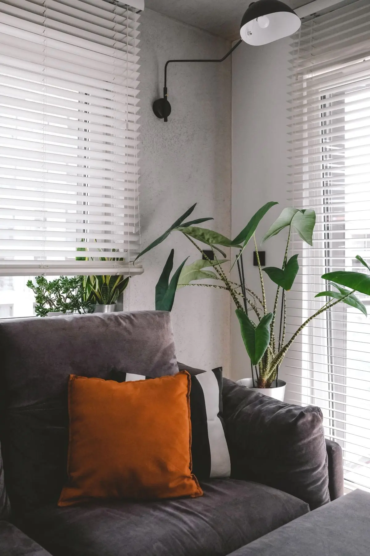 DESIGN: Outline Wnętrza F