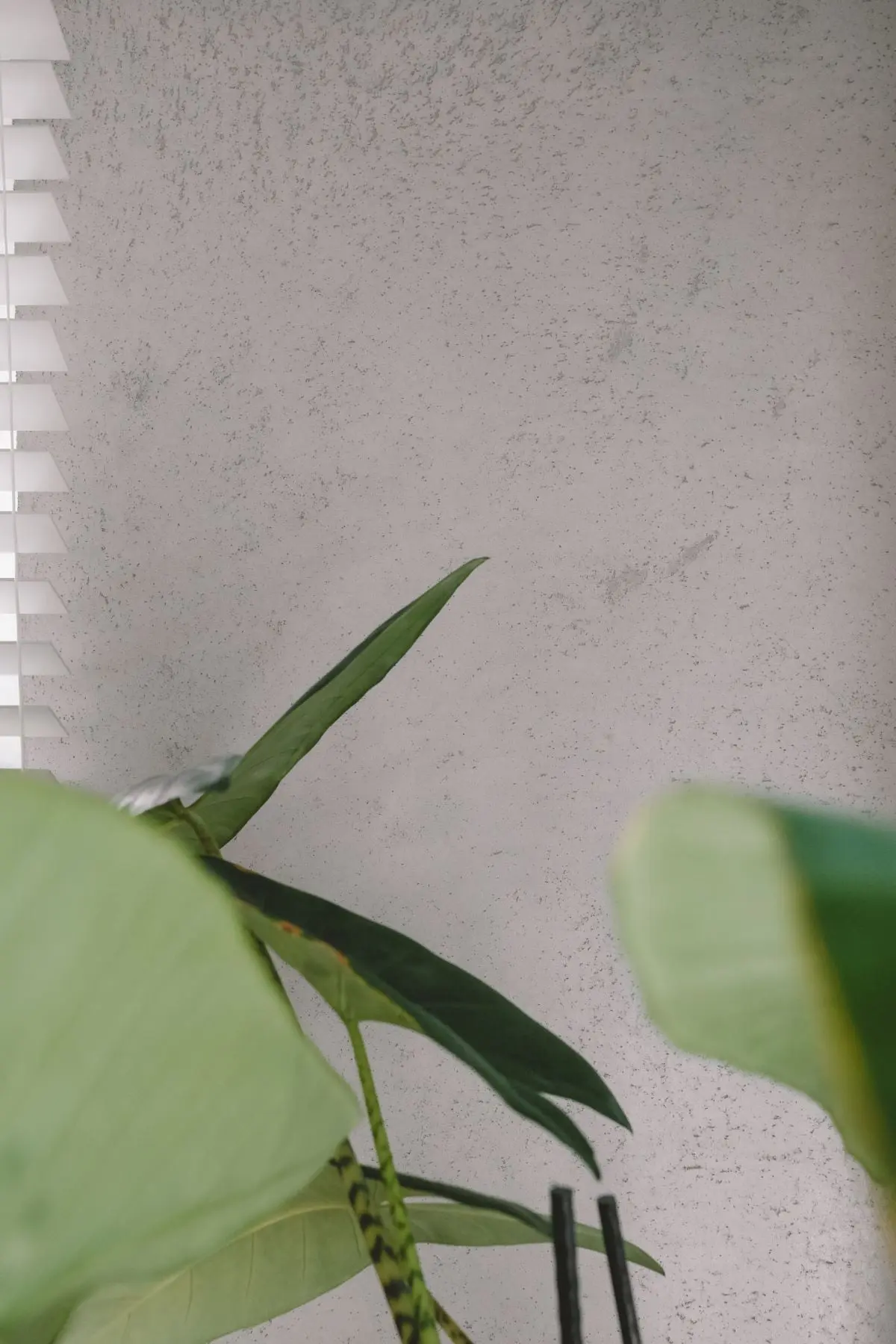 DESIGN: Outline Wnętrza F