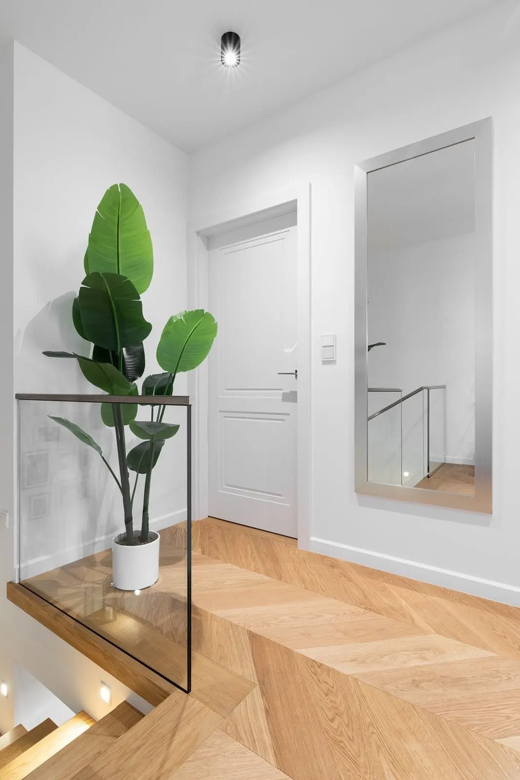 Design: Anna Dvořák - Zamiara