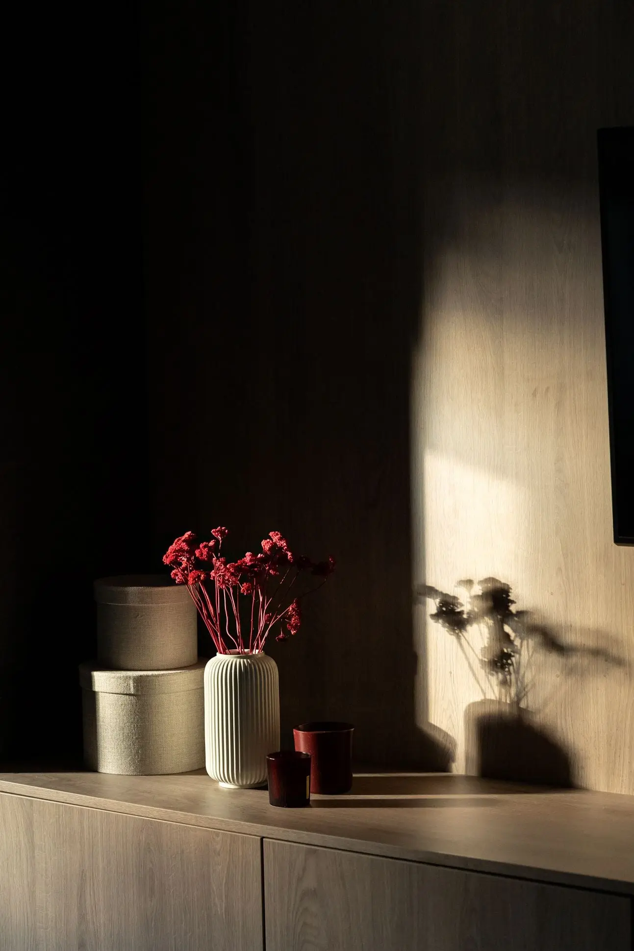 Projekt AVO Studio Sesja Dekorialove