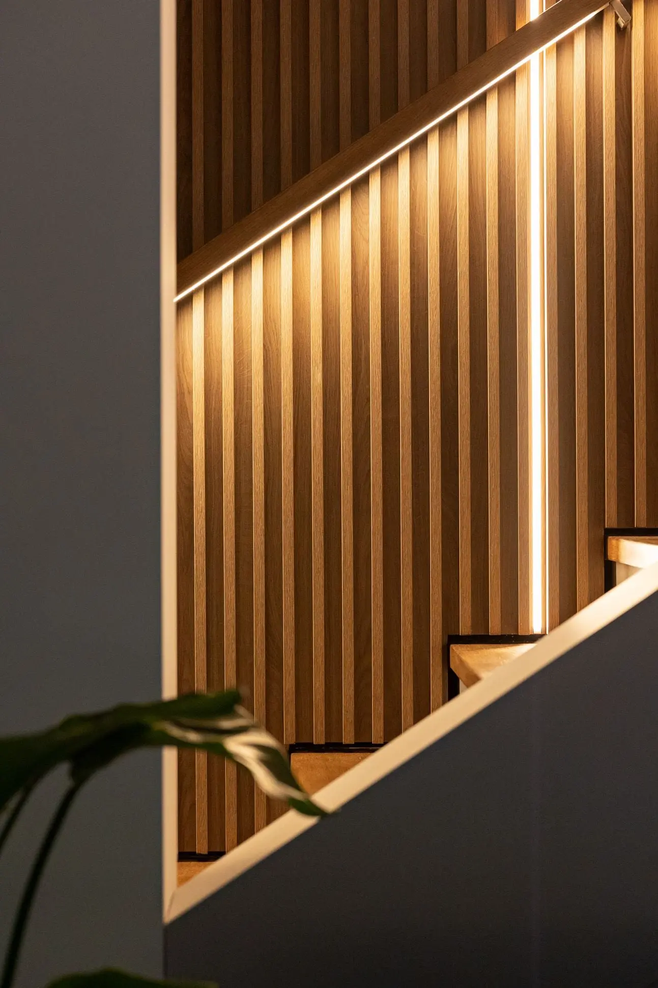 Projekt AVO Studio Sesja Dekorialove