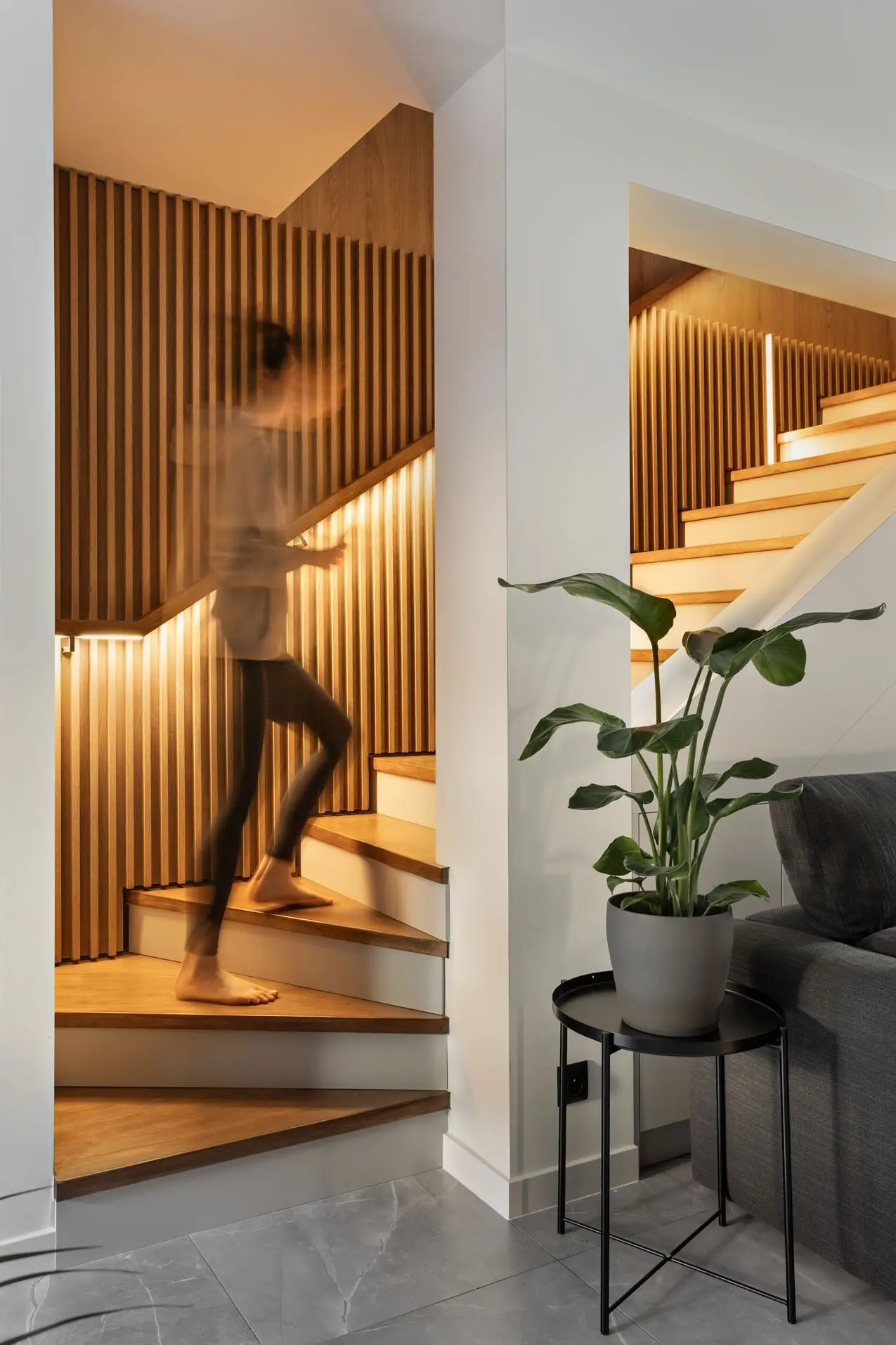 Projekt AVO Studio Sesja Dekorialove