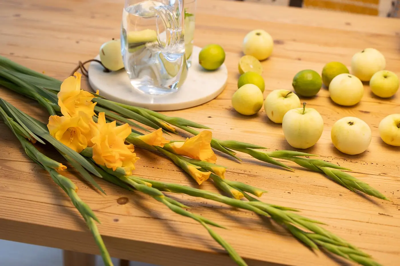 FOTO : Jakub Obarek FOTO : Jakub Obarek 