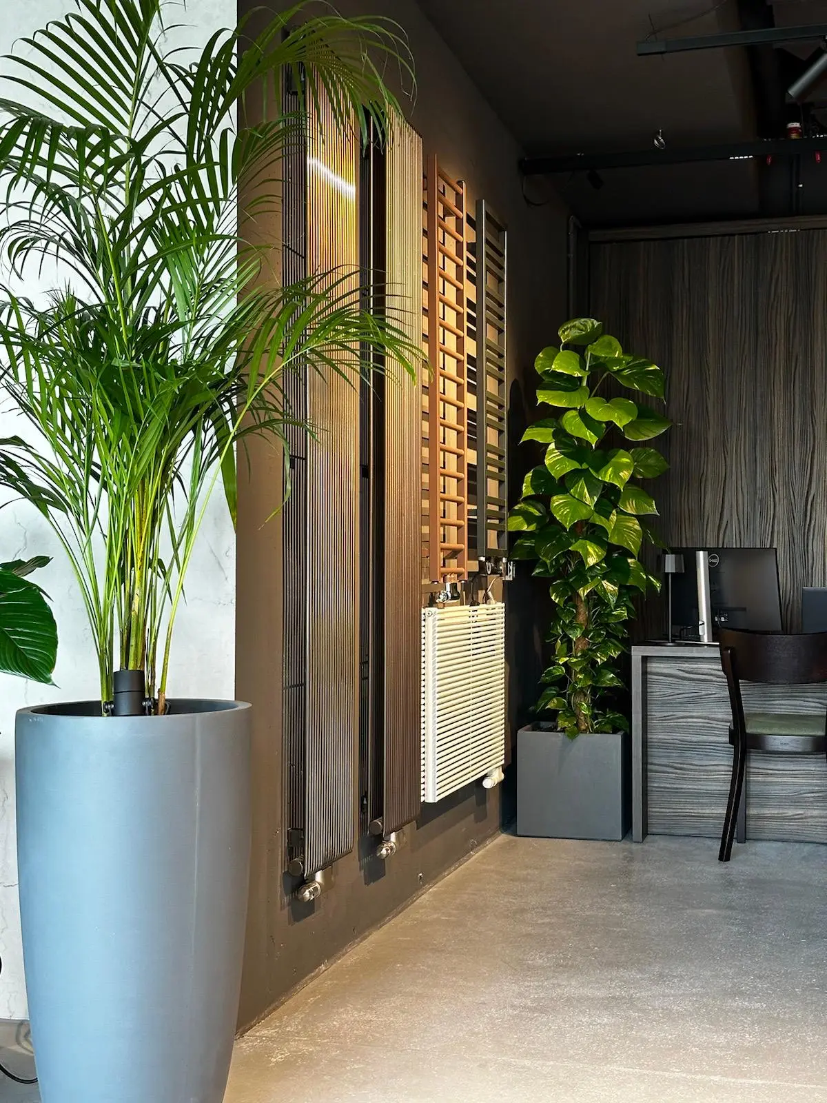 Showroom Internity Home  Wrocław 