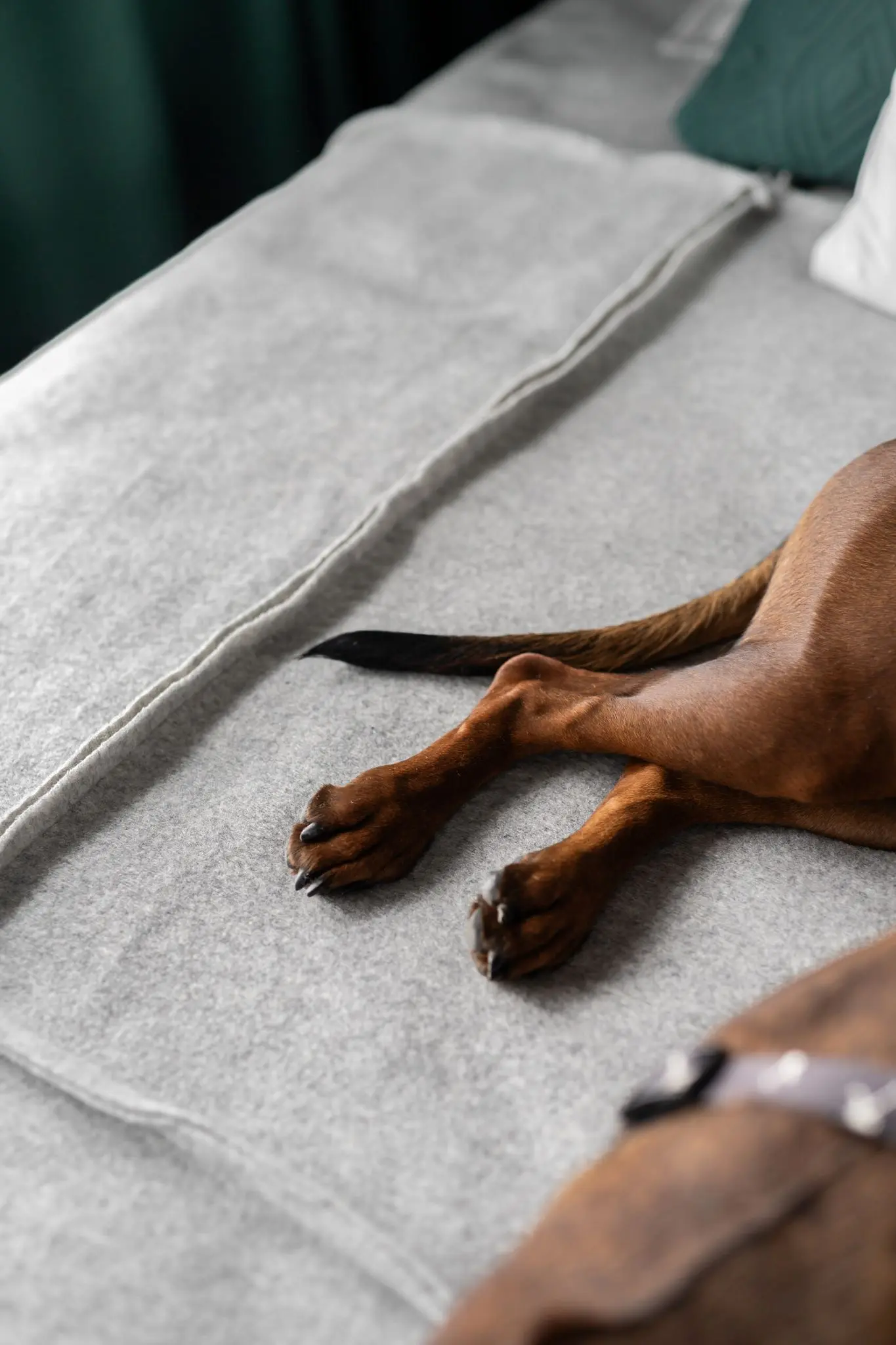 Foto: INKADR Natalia Kaczmarek Design: Anna Burzyńska Noomistudio 