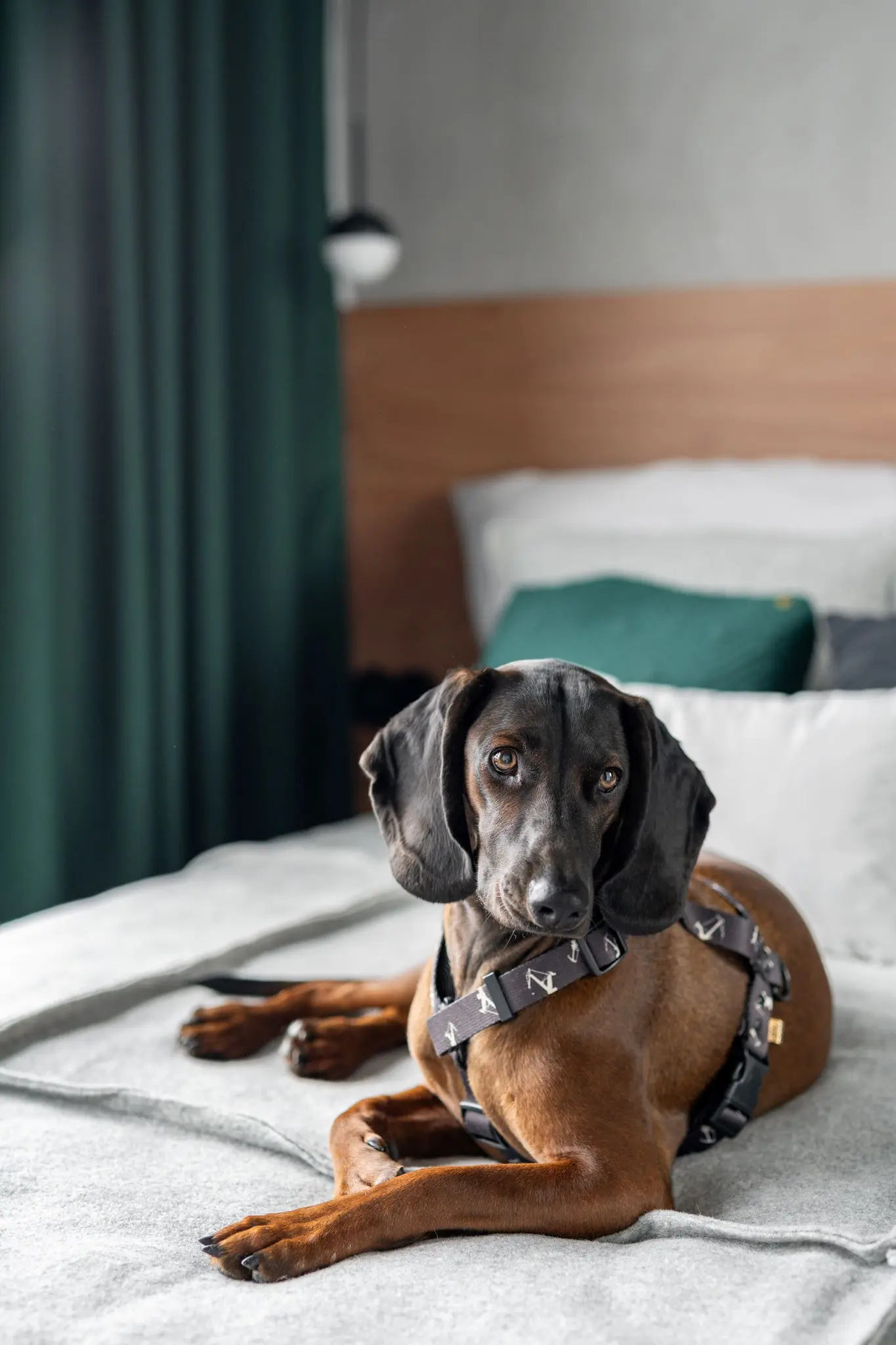 Foto: INKADR Natalia Kaczmarek Design: Anna Burzyńska Noomistudio 