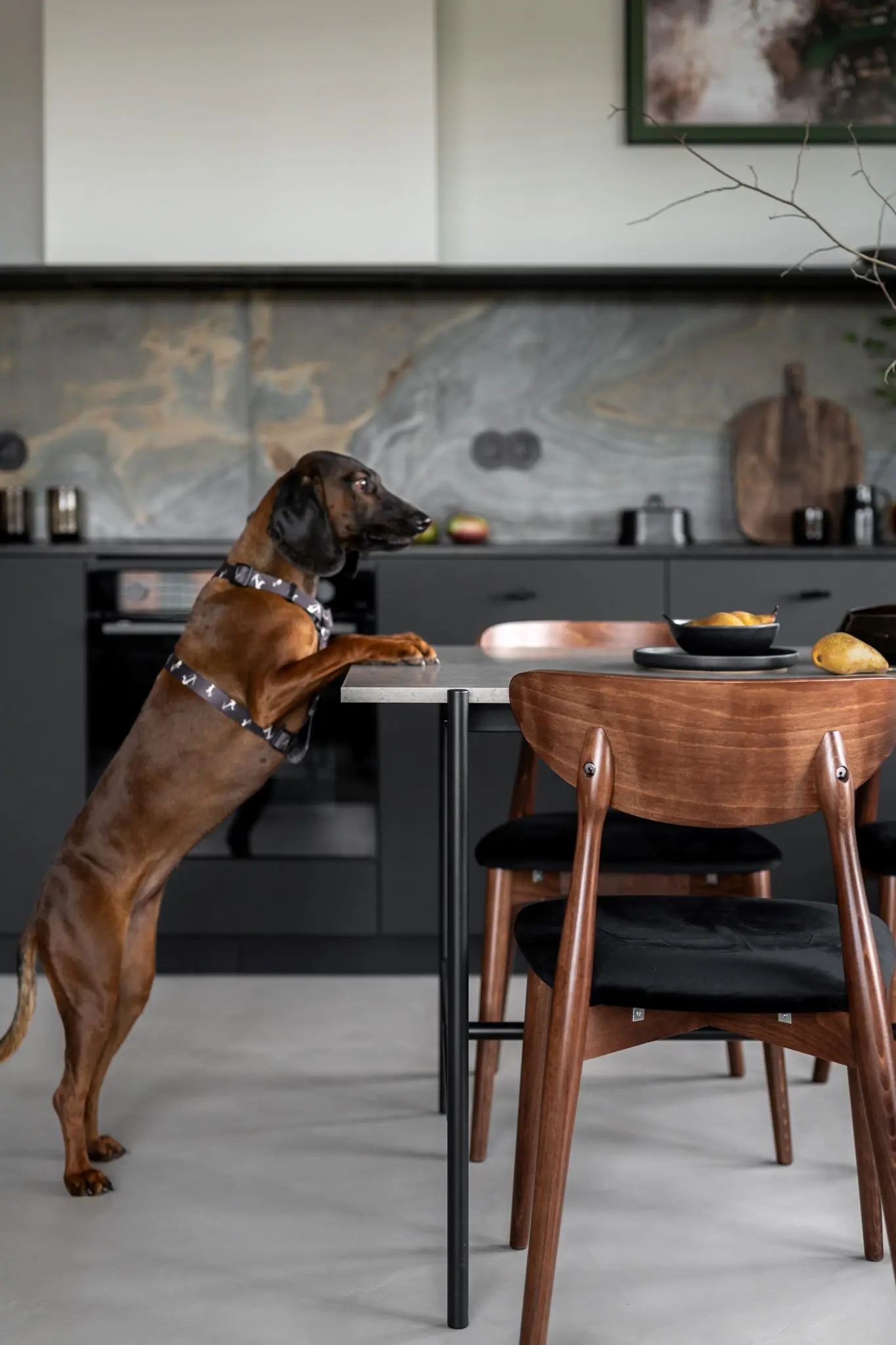 Foto: INKADR Natalia Kaczmarek Design: Anna Burzyńska Noomistudio 