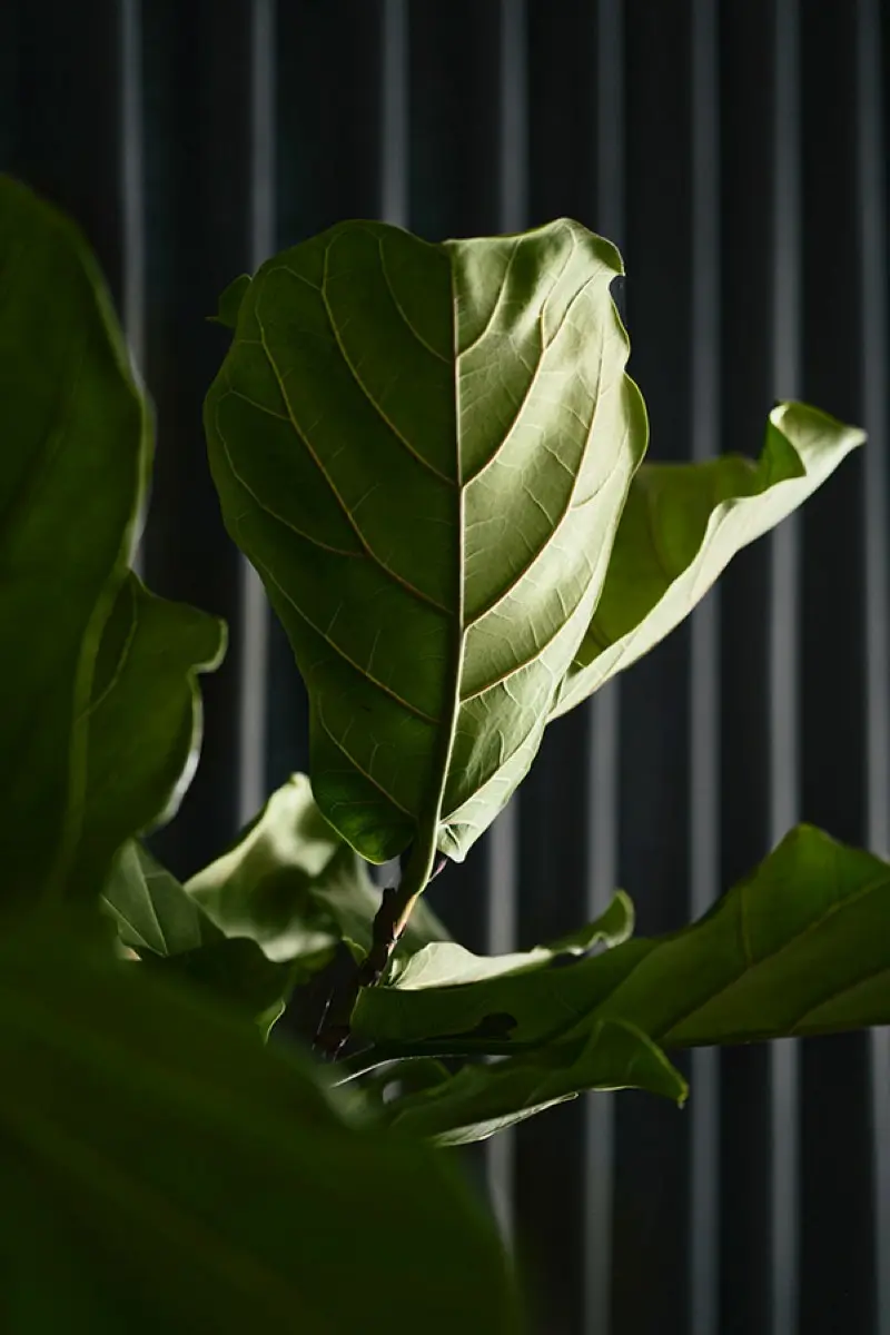 proj. Jan Sekuła Zarysy | fot. Tomo Yarmush 