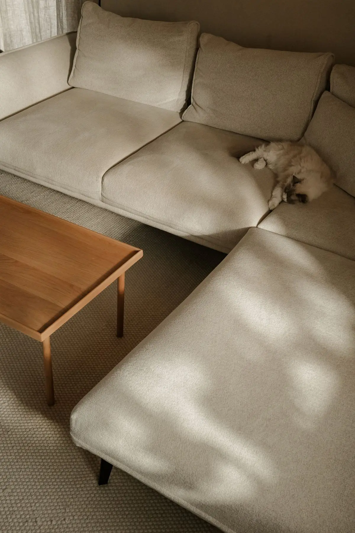 Design: Daria Lukoszczyk Fotograf: Bartosz Trybus