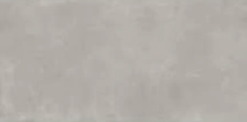 Arkety Grey 60x120.jpg