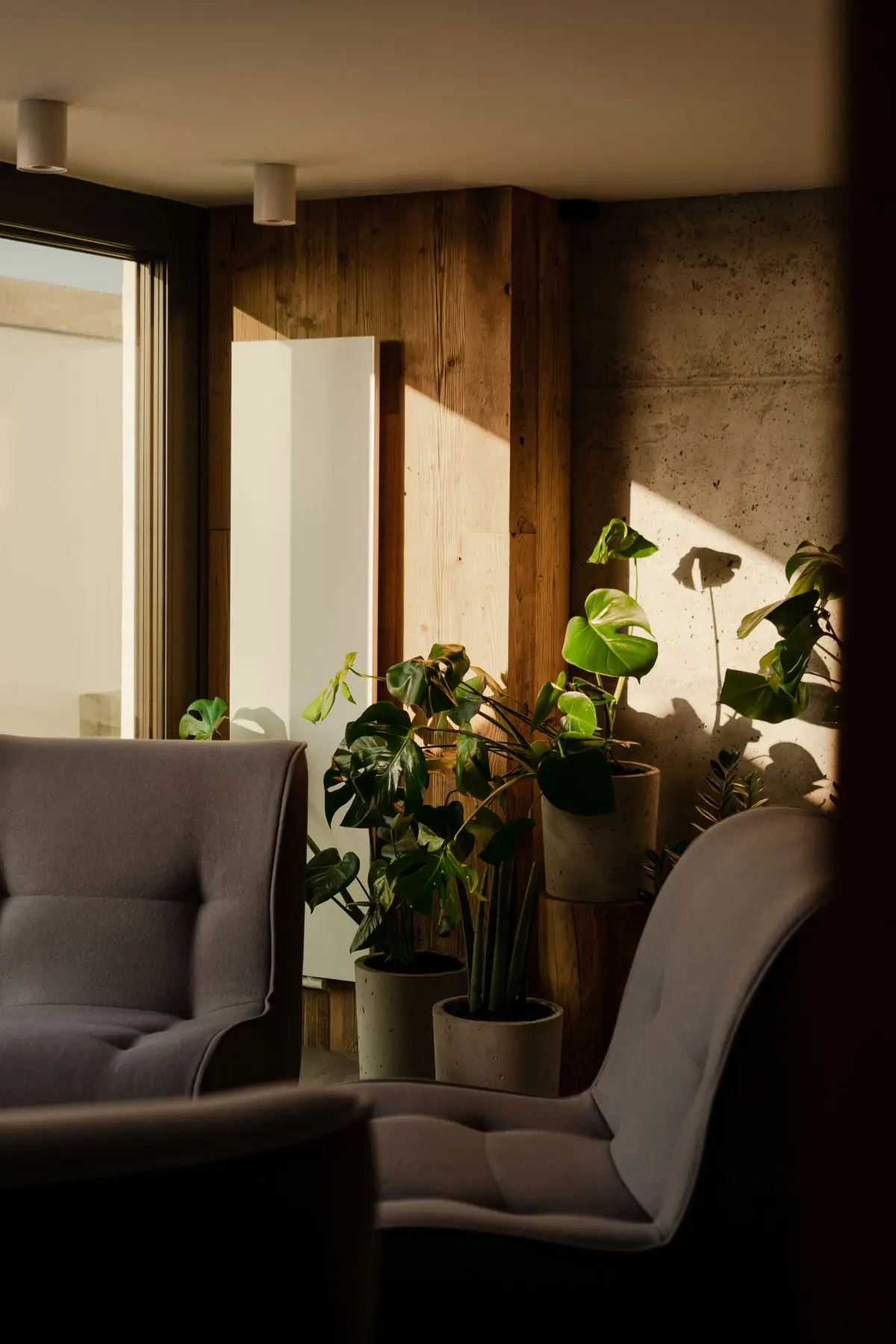 Dominanta Pracownia Architektury.